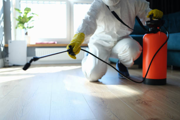 Reliable Odor Removal contractor in Woodland, MI by Trauma Clean Pros